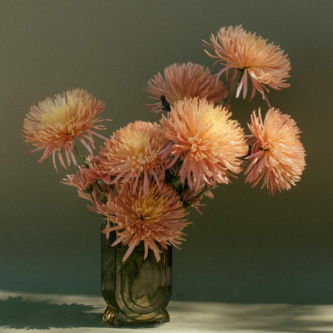 Bronze mums in a green glass vase
