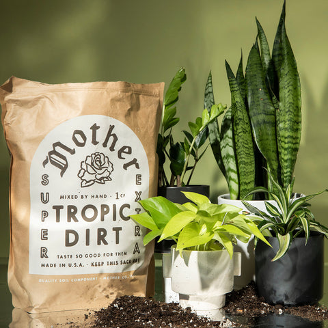 Mother Tropical Soil Mix Large